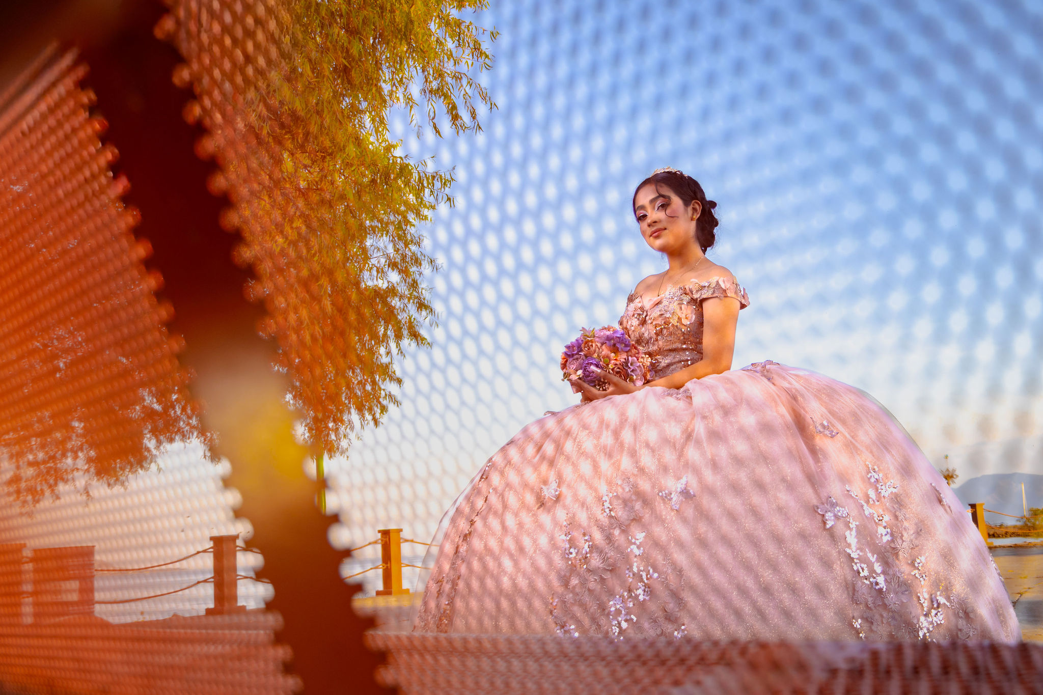 Quinceañera a través de malla